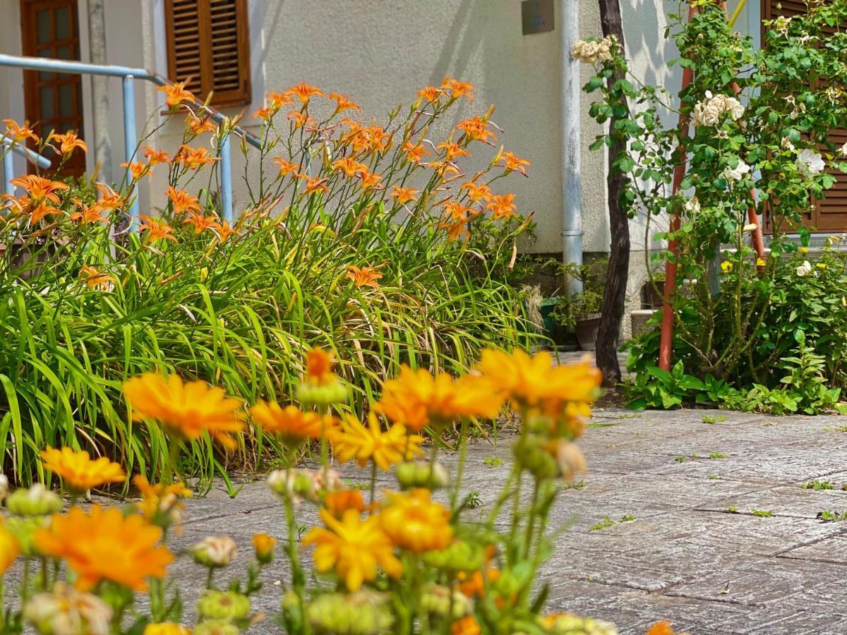 Апартаменты Garden House Будва