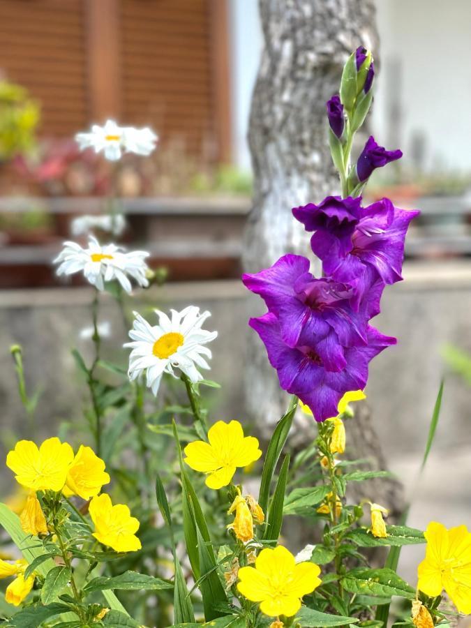 Апартаменты Garden House